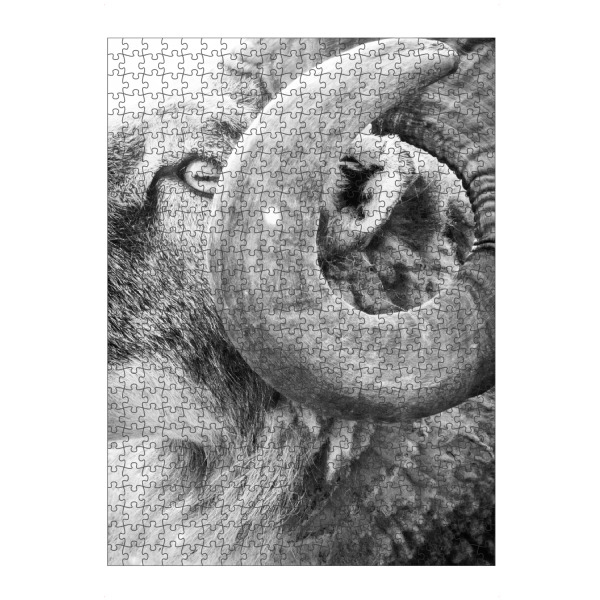 artboxONE Puzzle "Ram Hill" artboxONE - Tiere,Schwarzweiß - Sheep,Face,Blue,Goat,Buck,Farm,Nature,Animal,Horns,Field,Animal portrait,Ram