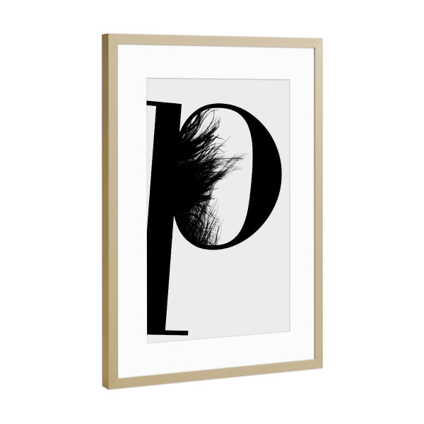 Poster mit Rahmen Gold "Flying Letter -P" artboxONE - Schwarzweiß,Buchstaben,Buchstaben / P