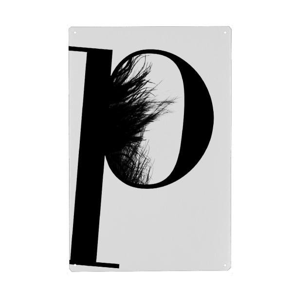 Holzbild "Flying Letter -P" artboxONE - Schwarzweiß,Buchstaben,Buchstaben / P