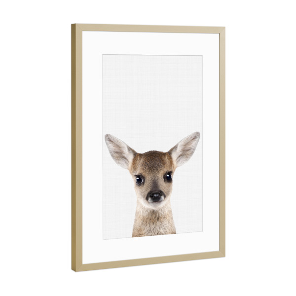 Poster mit Rahmen Gold "Fawn Portrait (Color)" artboxONE - Tiere
