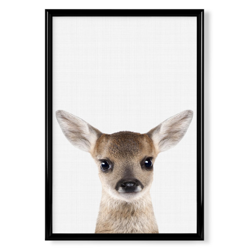 Fawn Portrait (Color)