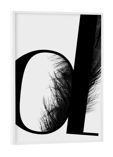 Poster mit weißem Rahmen "Flying Letter "D" artboxONE - Schwarzweiß,Buchstaben,Buchstaben / D
