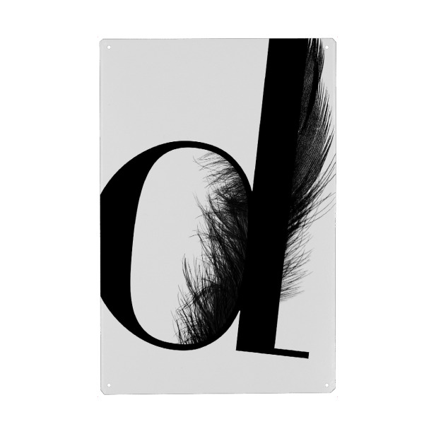 Holzbild "Flying Letter "D" artboxONE - Schwarzweiß,Buchstaben,Buchstaben / D