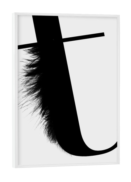 Poster mit weißem Rahmen "Flying Letter -T" artboxONE - Schwarzweiß,Buchstaben,Buchstaben / T