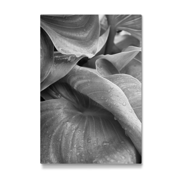 Galerie-Print "After its rained" 30x20 cm artboxONE