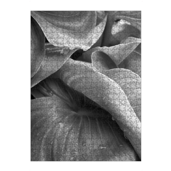 Puzzle Ravensburger "After its rained" artboxONE - Natur,Schwarzweiß - Leaf,Rain,Botanical,Leaves,Water,Nature,Photo,Photograph,Plant - Bild leaf