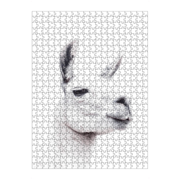 artboxONE Puzzle "Llamas face" artboxONE - Tiere