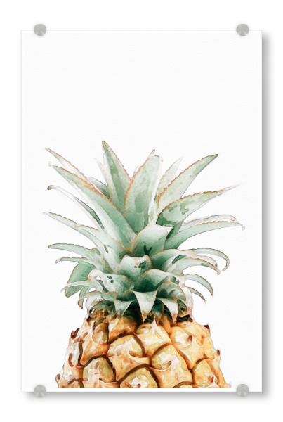 Acrylglasbild "Pineapple Watercolor" artboxONE - Essen & Trinken / Obst & Gemüse - Coachella,Ananas