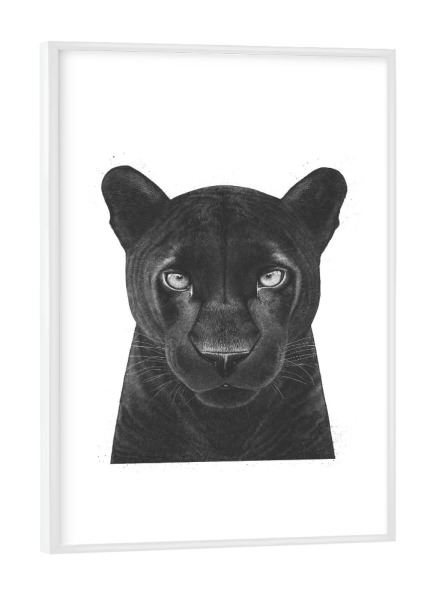 Poster mit weißem Rahmen "The Panther" artboxONE - Tiere,Schwarzweiß - Panther,Black panther,Cat