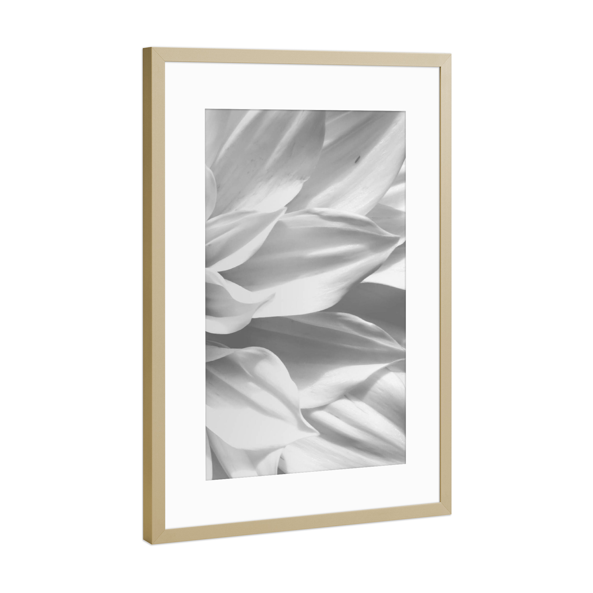 Poster mit Rahmen Gold "White Petals" artboxONE - Floral