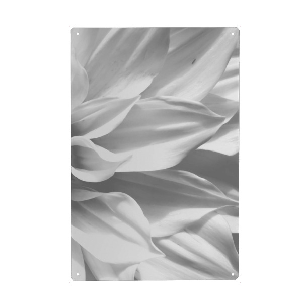 Holzbild "White Petals" artboxONE - Floral