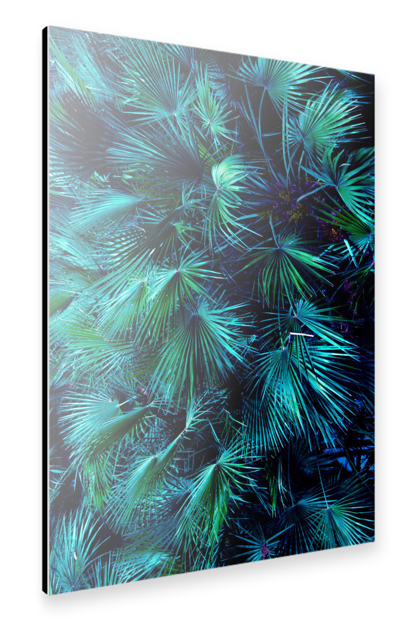 Alu-Dibond "Among the Palm Leaves" 75x50 cm artboxONE