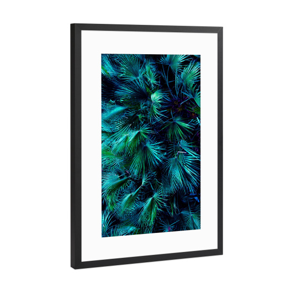 Poster mit Rahmen Schwarz (Metallic) "Among the Palm Leaves" artboxONE - Natur - Palm,Palm tree,Palms,Palm leaves,Leaves