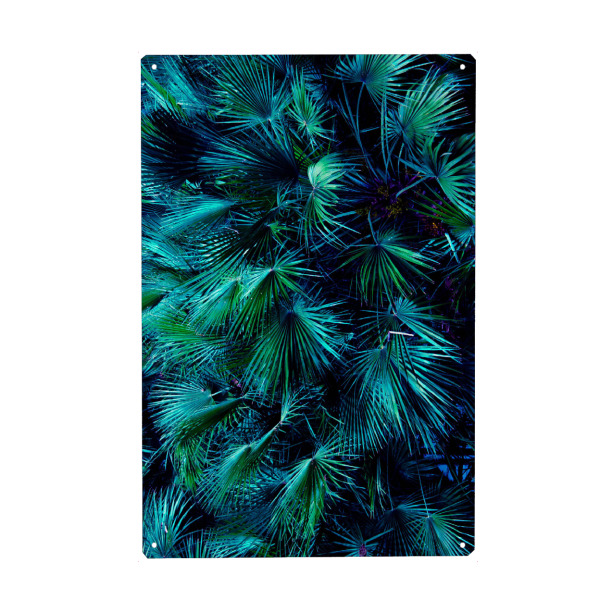 Holzbild "Among the Palm Leaves" artboxONE - Natur - Palm,Palm tree,Palms,Palm leaves,Leaves