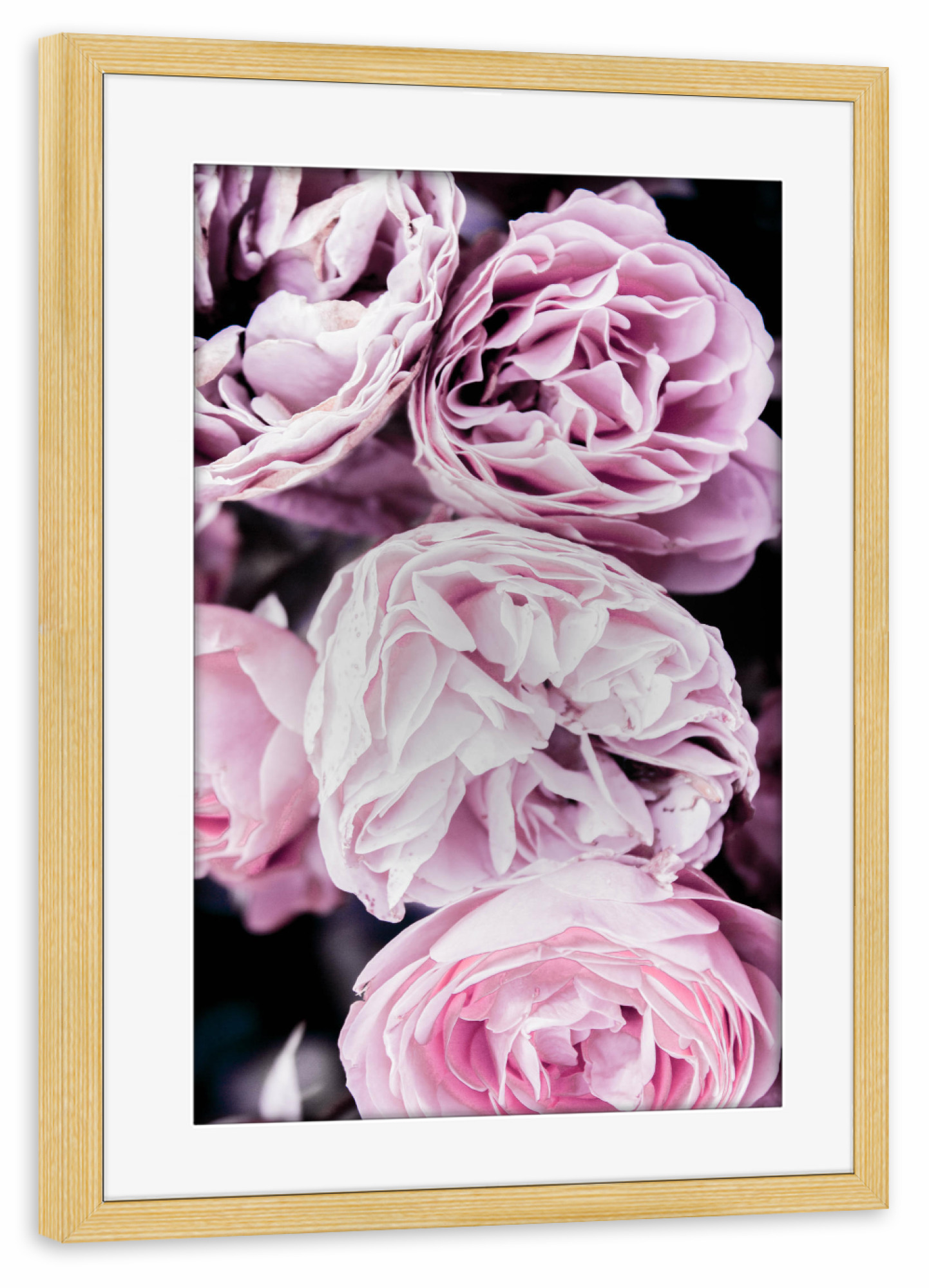 Poster mit Rahmen kiefer "Pink Flowers "Two" artboxONE - Floral