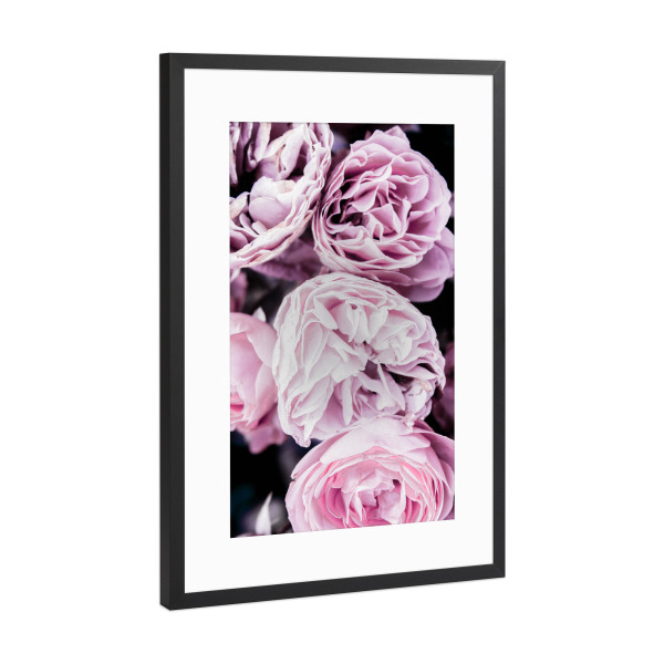Poster mit Rahmen Schwarz (Metallic) "Pink Flowers "Two" artboxONE - Floral