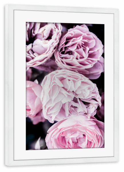 Poster mit Rahmen weiß "Pink Flowers "Two" artboxONE - Floral