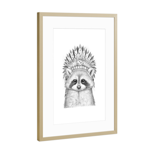 Poster mit Rahmen Gold "Raccoon apache" artboxONE - Tiere,Schwarzweiß - Waschbär,Apache,Indianer,Häuptling