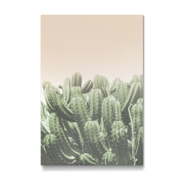 Galerie-Print "Cactus Art Photography" 30x20 cm artboxONE