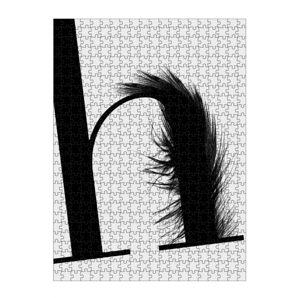 Puzzle Ravensburger "Flying Letter -H" artboxONE - Typografie,Schwarzweiß,Buchstaben,Buchstaben / H