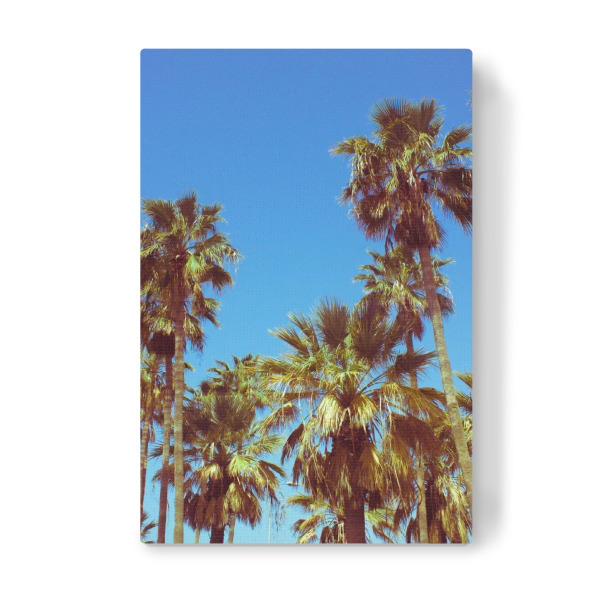 Leinwandbild "Tropical Palm Trees" artboxONE - Reise / Strand und Meer