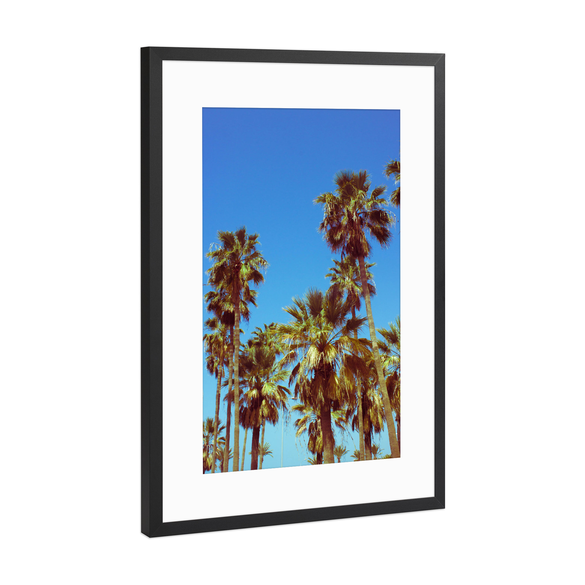 Poster mit Rahmen Schwarz (Metallic) "Tropical Palm Trees" artboxONE - Reise / Strand und Meer
