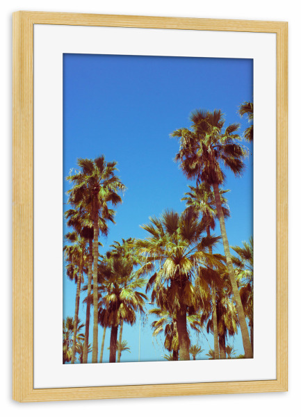 Poster mit Rahmen kiefer "Tropical Palm Trees" artboxONE - Reise / Strand und Meer