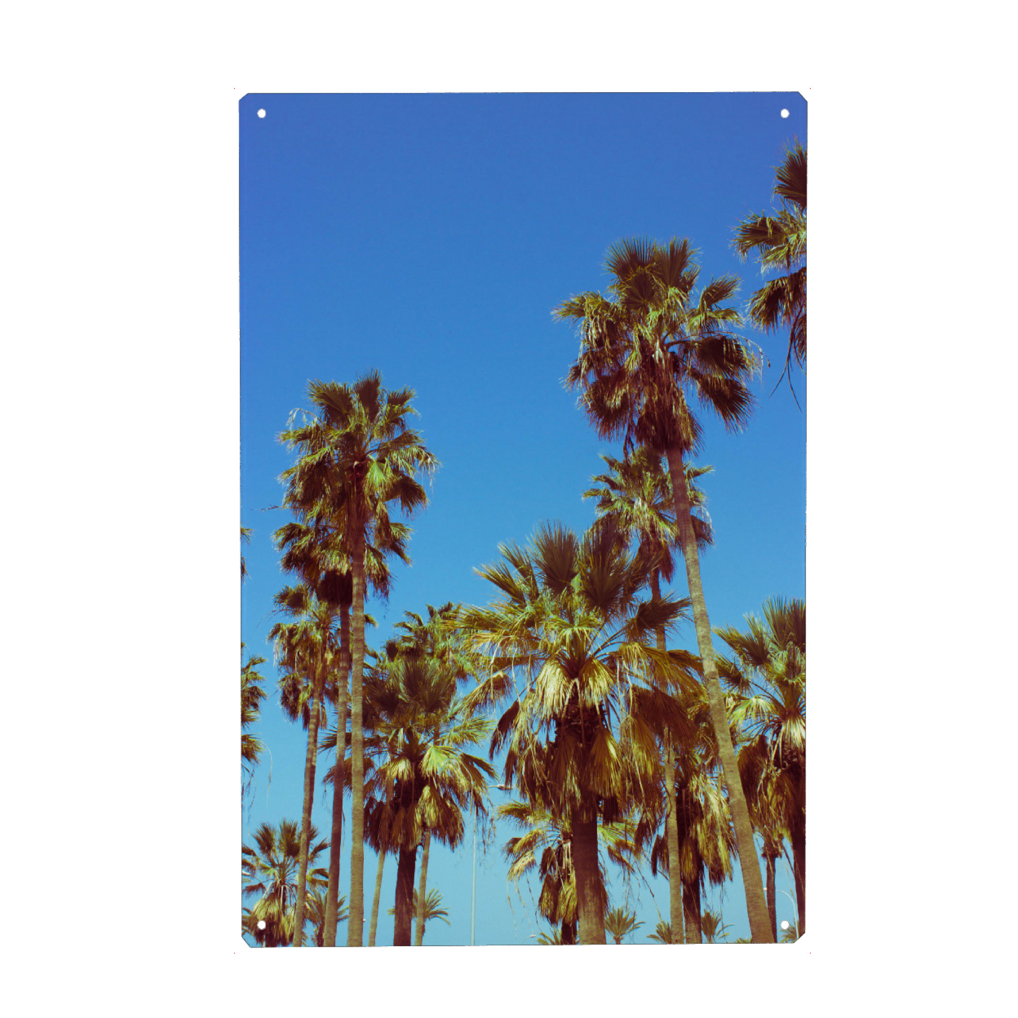 Holzbild "Tropical Palm Trees" artboxONE - Reise / Strand und Meer