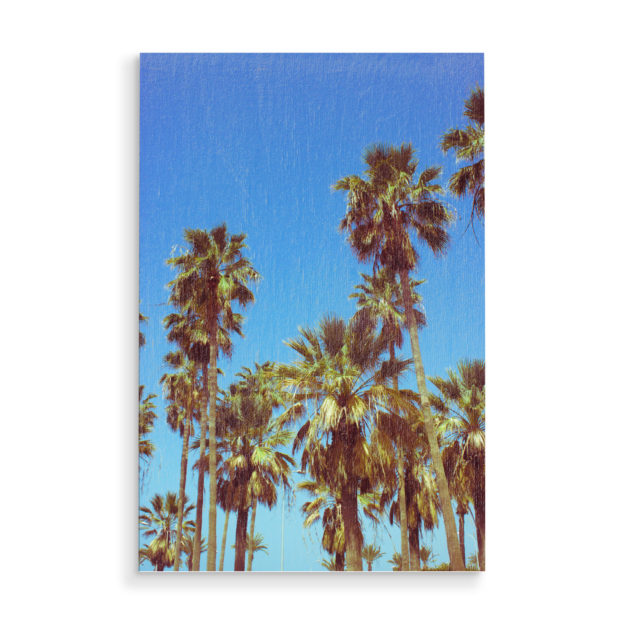 Holzbild "Tropical Palm Trees" artboxONE - Reise / Strand und Meer