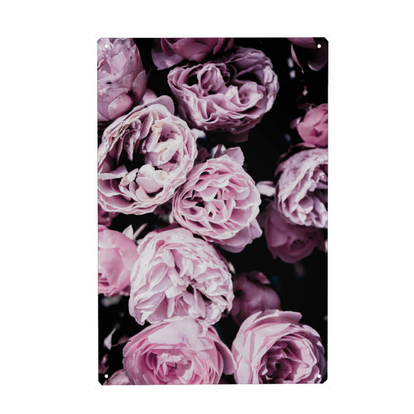 Metall Poster "Pink Flowers "Three" artboxONE - Floral