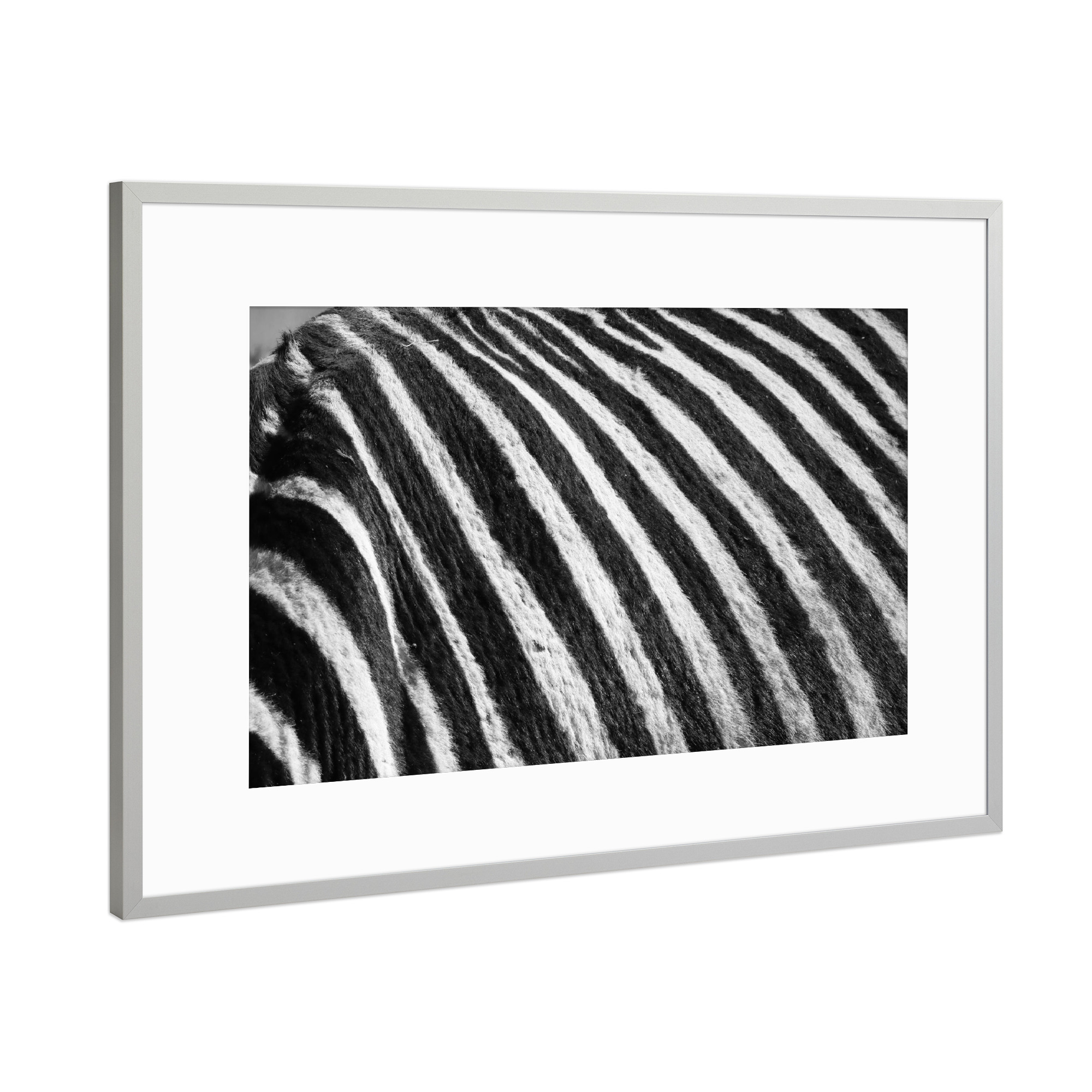 Poster mit Rahmen Silber "Zebra Fell" artboxONE - Tiere,Schwarzweiß,Reise / Afrika - Zebra,Fell,Streifen,Afrika