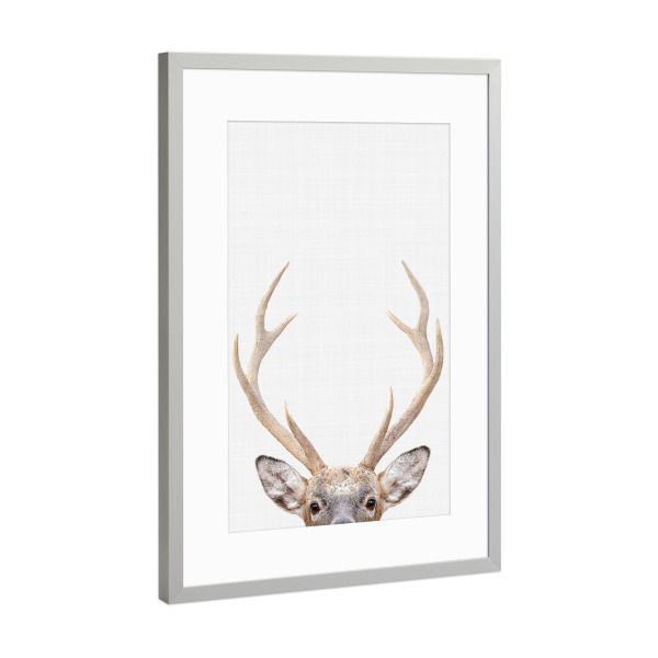 Poster mit Rahmen Silber "Deer Portrait (Color)" artboxONE - Tiere - Deer,Portrait,Animals,Christmas