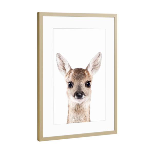 Poster mit Rahmen Gold "Baby Deer" artboxONE - Tiere - Animals,Portrait,Fawn,Deer,Baby animal