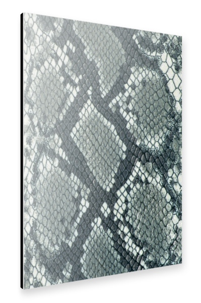 Alu-Dibond "Snake Skin" 30x20 cm artboxONE