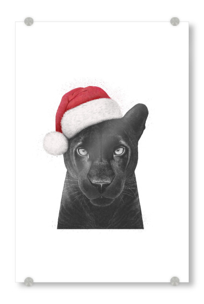 Acrylglasbild "Christmas panther girl" artboxONE - Tiere,Schwarzweiß - Panther,Cat,Christmas,Black panther