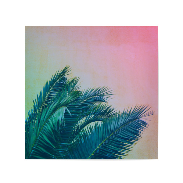 Poster 20x20 cm "Pink Palms" artboxONE - Natur,Reise,Floral,Reise / Strand und Meer - Leaves,Palmtree,Palm
