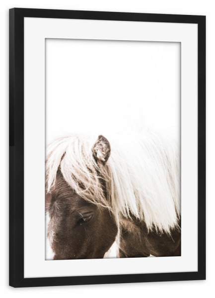 Poster mit Rahmen schwarz "Brown Horses Back" artboxONE - Tiere