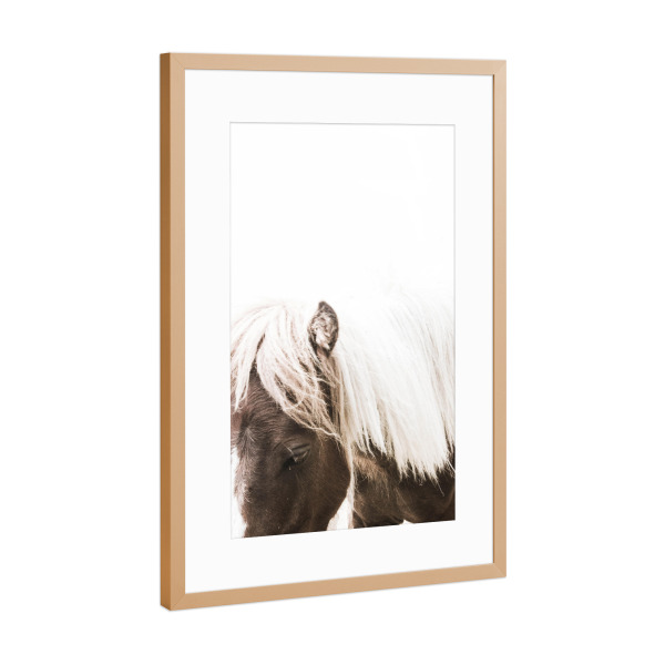 Poster mit Rahmen Kupfer "Brown Horses Back" artboxONE - Tiere