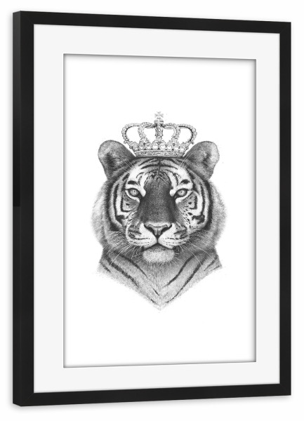 Poster mit Rahmen schwarz "The Tiger King" artboxONE - Tiere,Schwarzweiß - Tiger,Royal,Animals,King,Royal tiger