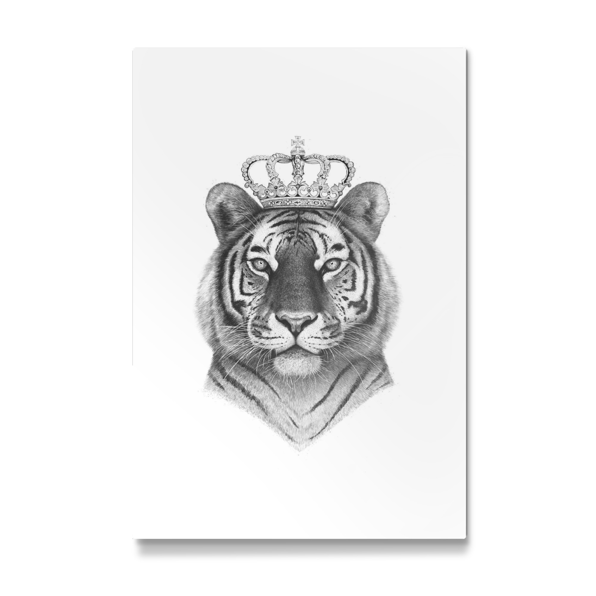 Galerie-Print "The Tiger King" 75x50 cm artboxONE