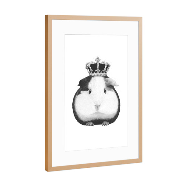 Poster mit Rahmen Kupfer "King guinea pig" artboxONE - Tiere,Schwarzweiß - King,Guinea pig,Pig,Krone