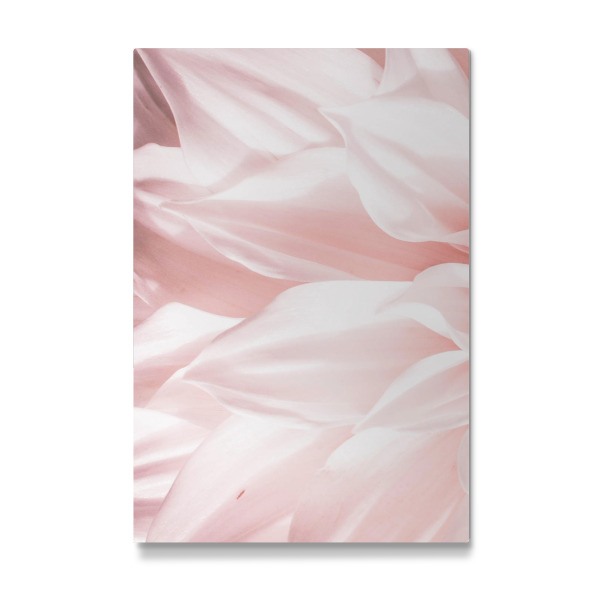 Galerie-Print "Pink Petals" 30x20 cm artboxONE