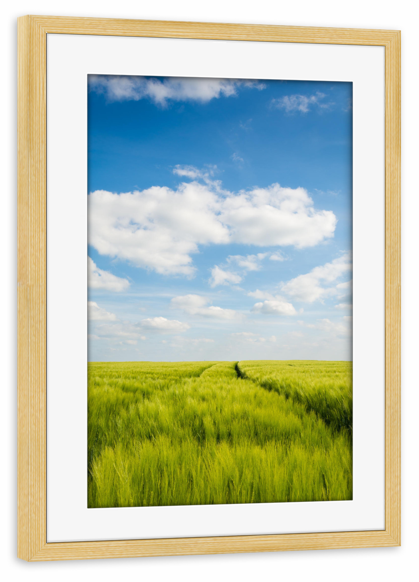 Poster mit Rahmen kiefer "Sommer im Feld" artboxONE - Natur - Feld,Sommer,Landschaft,Natur,Getreide