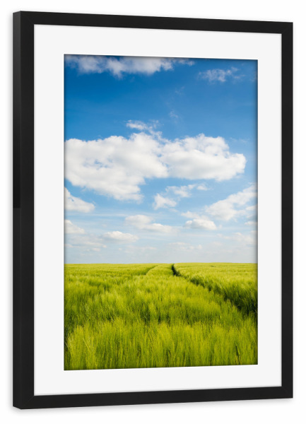 Poster mit Rahmen schwarz "Sommer im Feld" artboxONE - Natur - Feld,Sommer,Landschaft,Natur,Getreide