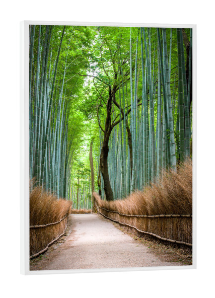 Poster mit weißem Rahmen "Bambuswald in Arashiyama, Japan" artboxONE - Natur,Reise - Arashiyama,Kyoto,Japan,Asien,Bambus,Wald,Forest,Natur