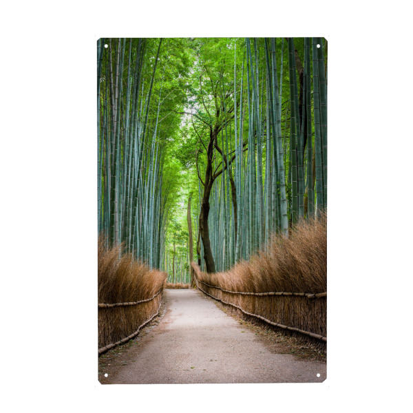 Holzbild "Bambuswald in Arashiyama, Japan" artboxONE - Natur,Reise - Arashiyama,Kyoto,Japan,Asien,Bambus,Wald,Forest,Natur