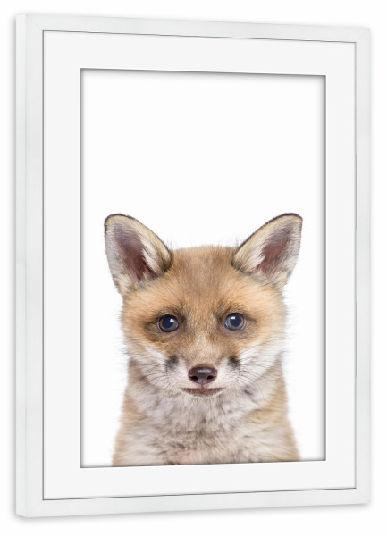 Poster mit Rahmen weiß "Little Baby Fox" artboxONE - Tiere - Fox,Animal,Baby,Wild