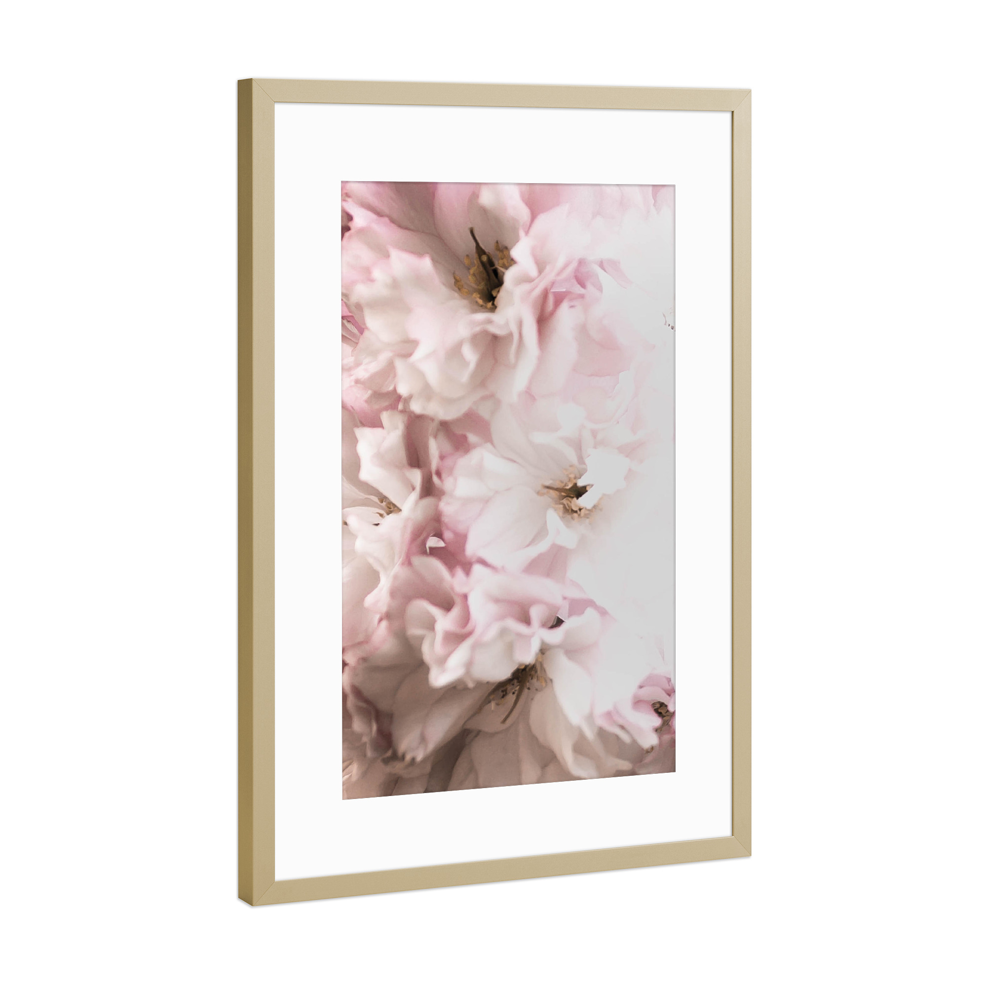 Poster mit Rahmen Gold "Rosa Flowers" artboxONE - Floral