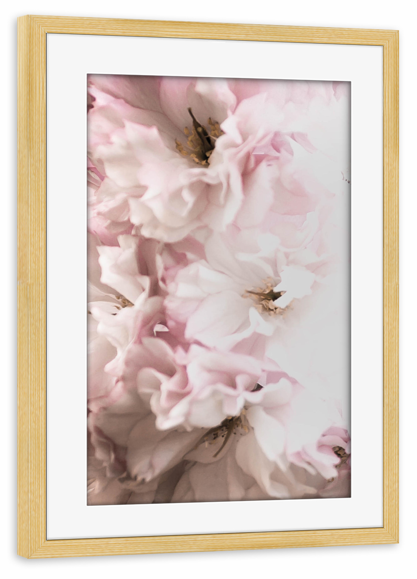 Poster mit Rahmen kiefer "Rosa Flowers" artboxONE - Floral