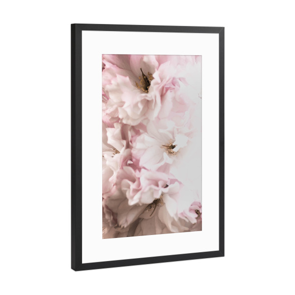 Poster mit Rahmen Schwarz (Metallic) "Rosa Flowers" artboxONE - Floral